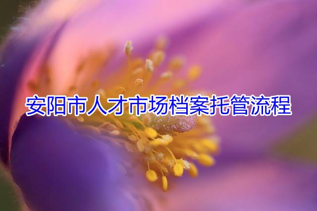 安阳市人才市场档案托管流程