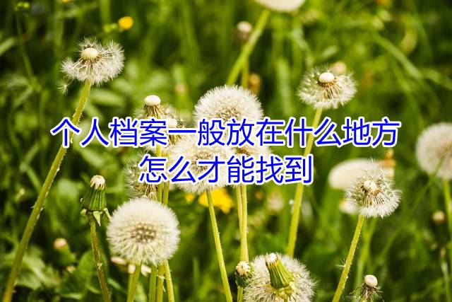 个人档案一般放在什么地方，怎么才能找到