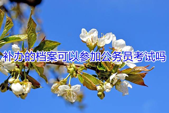 补办的档案可以参加公务员考试吗