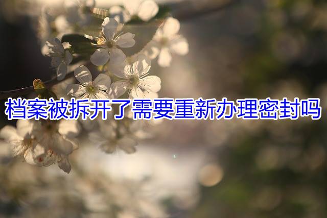 档案被拆开了需要重新办理密封吗