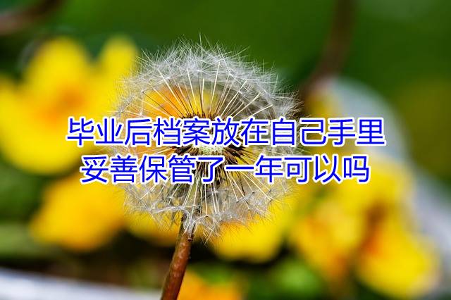 毕业后档案放在自己手里妥善保管了一年可以吗