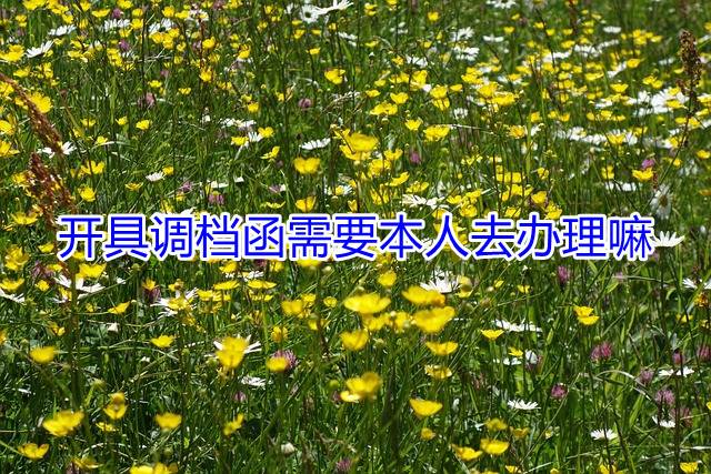 开具调档函需要本人去办理嘛