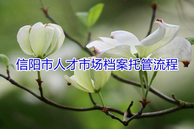 信阳市人才市场档案托管流程