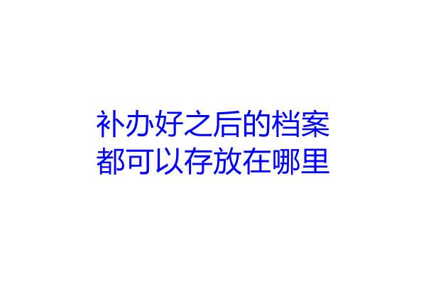 补办好之后的档案都可以存放在哪里