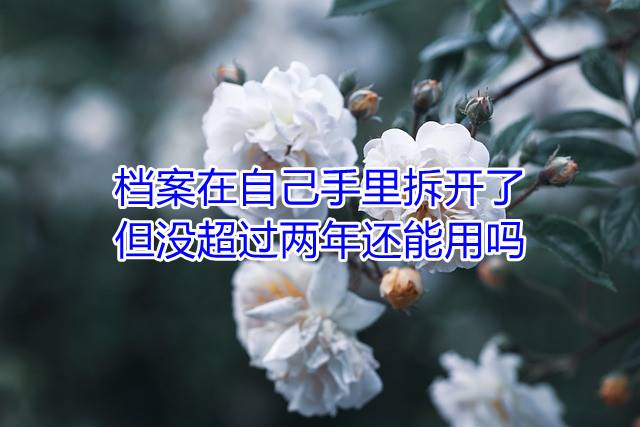 档案在自己手里拆开了但没超过两年还能用吗
