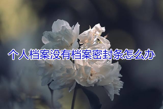 个人档案没有档案密封条怎么办