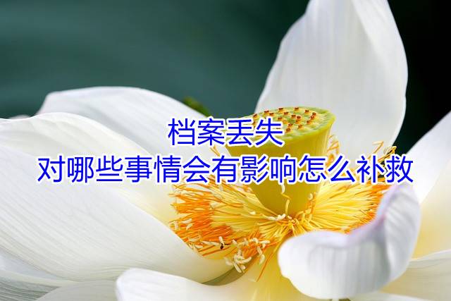 档案丢失对哪些事情会有影响怎么补救