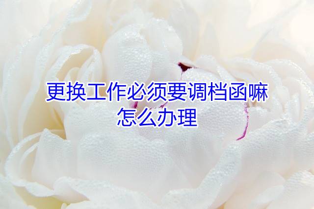 更换工作必须要调档函嘛，怎么办理