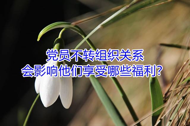 党员不转组织关系，会影响他们享受哪些福利