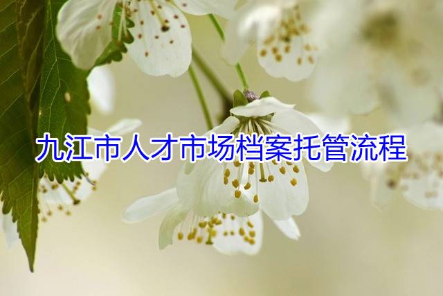 九江市人才市场档案托管流程