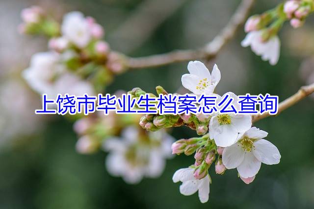 上饶市毕业生档案怎么查询