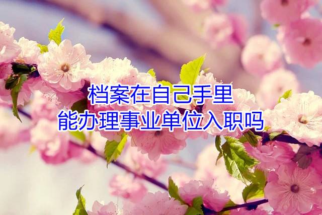 档案在自己手里能办理事业单位入职吗