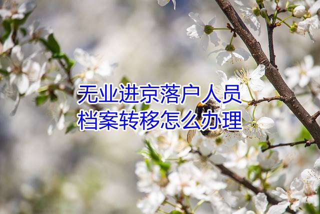 无业进京落户人员档案转移怎么办理