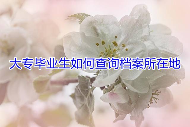 大专毕业生如何查询档案所在地
