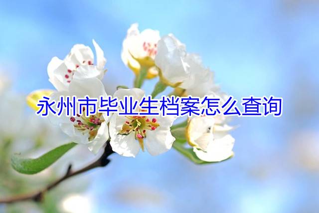 永州市毕业生档案怎么查询