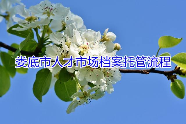 娄底市人才市场档案托管流程