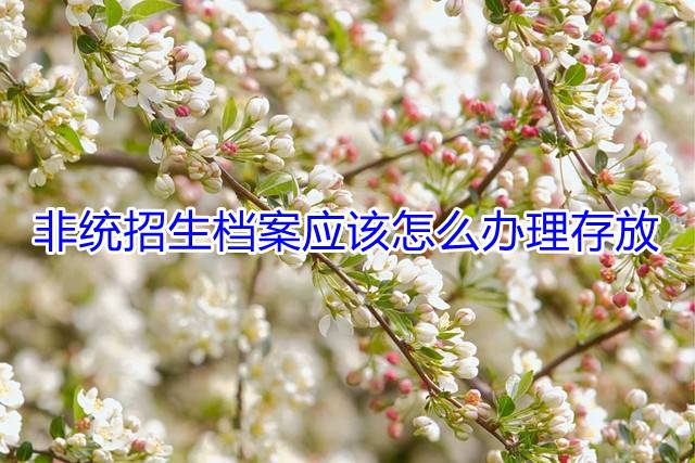 非统招生档案应该怎么办理存放