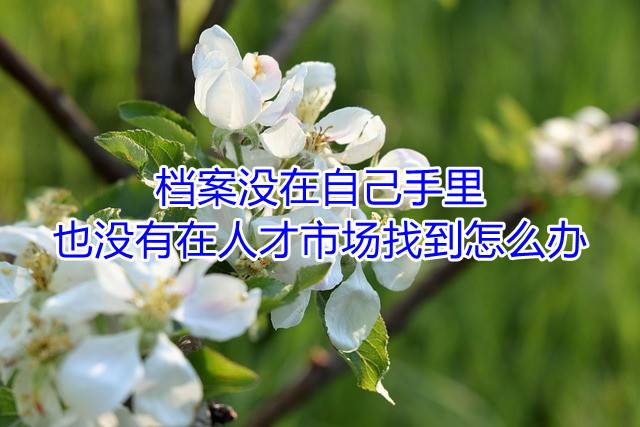 档案没在自己手里也没有在人才市场找到怎么办