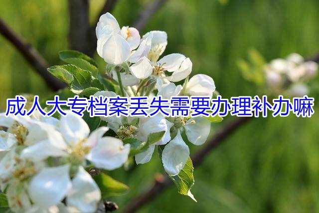 成人大专档案丢失需要办理补办嘛
