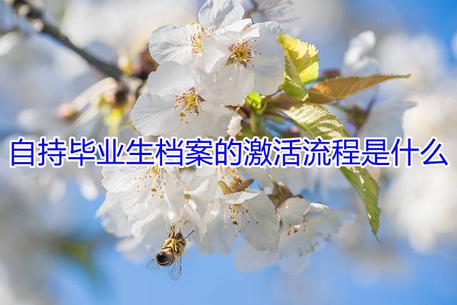 自持毕业生档案的激活流程是什么