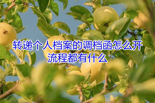 转递个人档案的调档函怎么开，流程都有什么