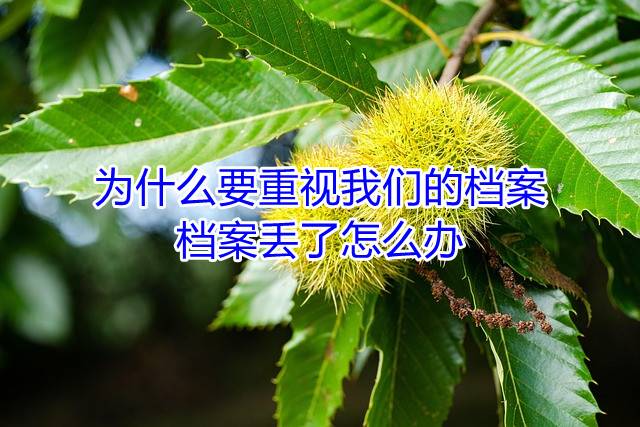 为什么要重视我们的档案，档案丢了怎么办