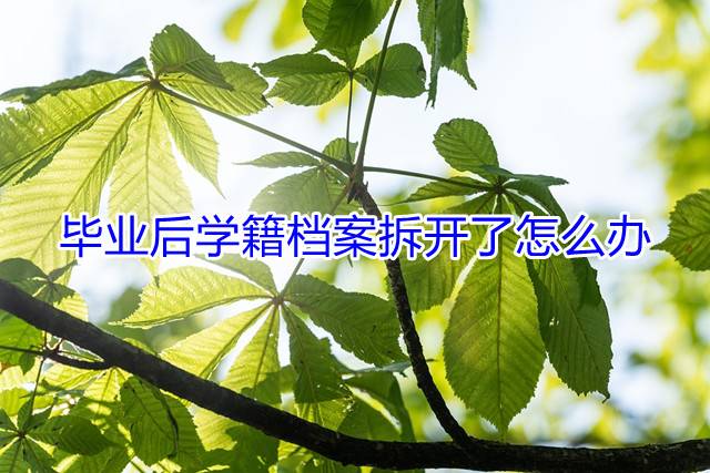 毕业后学籍档案拆开了怎么办