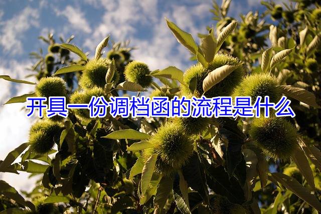 开具一份调档函的流程是什么