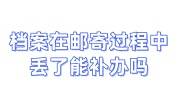 档案在邮寄过程中丢了能补办吗，党员档案怎么办