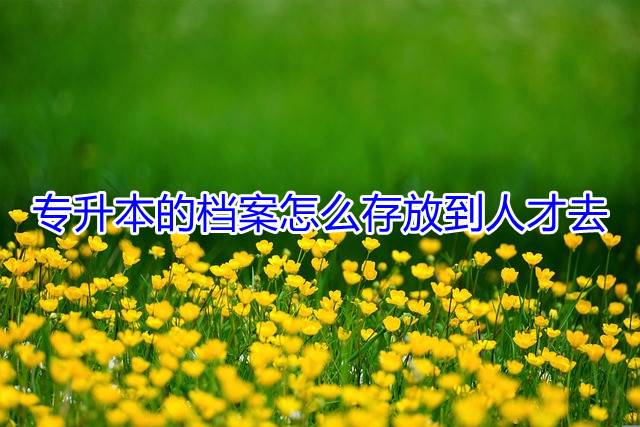 专升本的档案怎么存放到人才去