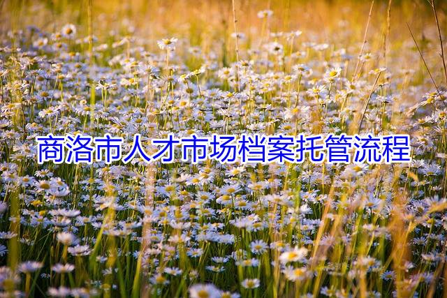 商洛市人才市场档案托管流程