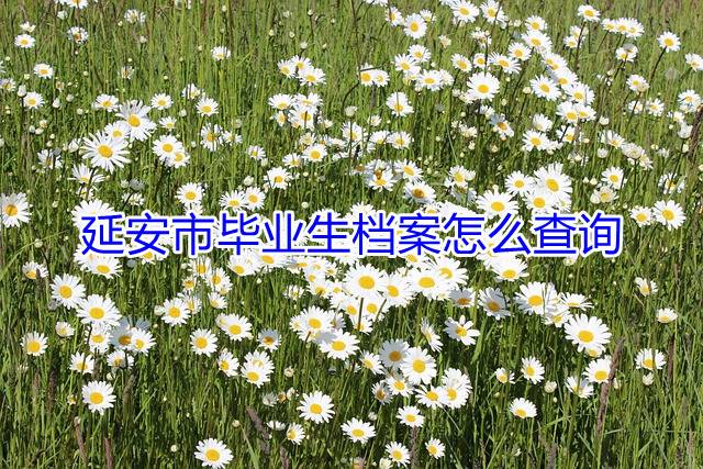 延安市毕业生档案怎么查询