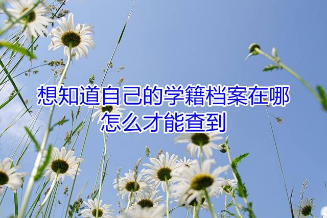 想知道自己的学籍档案在哪怎么才能查到