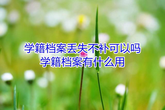学籍档案丢失不补可以吗，学籍档案有什么用