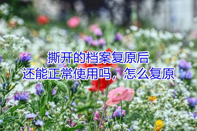 撕开的档案复原后还能正常使用吗，怎么复原