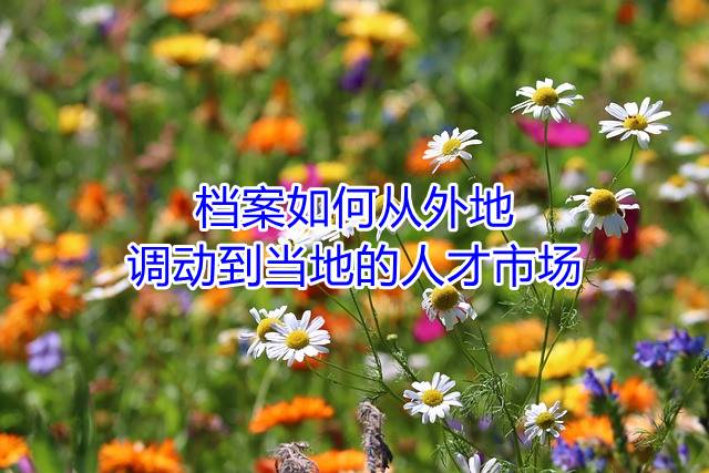 档案如何从外地调动到当地的人才市场