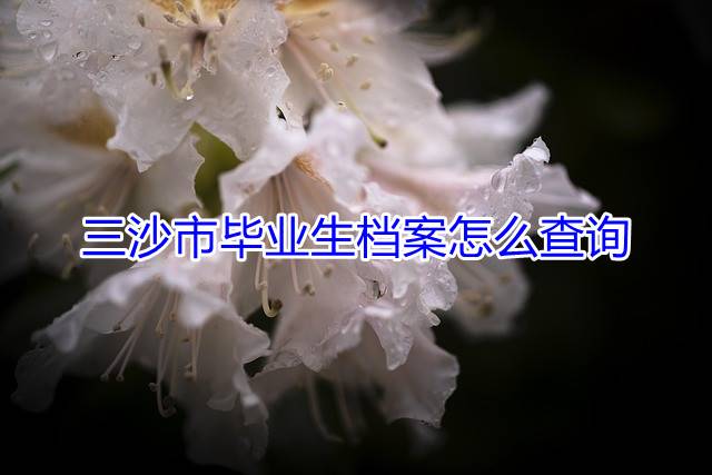 三沙市毕业生档案怎么查询