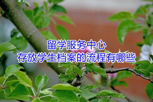 留学服务中心存放学生档案的流程有哪些