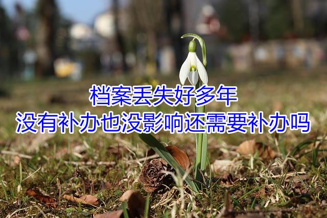 档案丢失好多年没有补办也没影响还需要补办吗