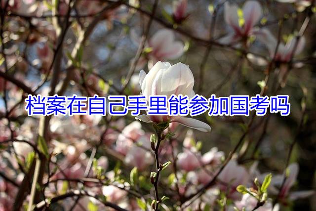 档案在自己手里能参加国考吗