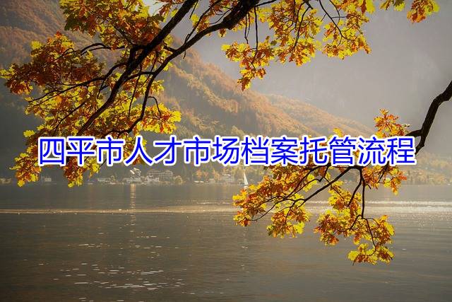 四平市人才市场档案托管流程