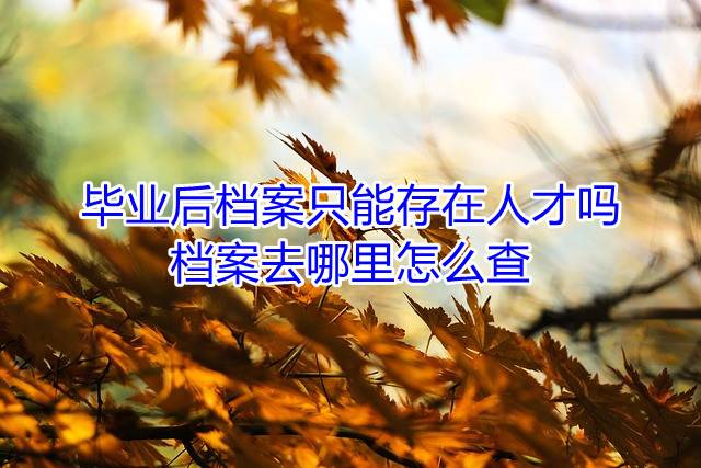 毕业后档案只能存在人才吗，档案去哪里怎么查