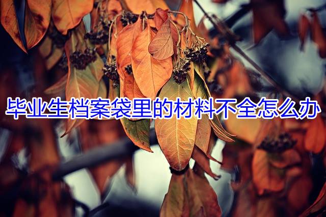 毕业生档案袋里的材料不全怎么办