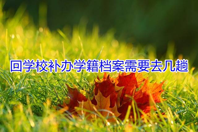 回学校补办学籍档案需要去几趟