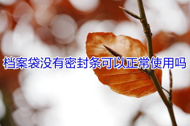 档案袋没有密封条可以正常使用吗