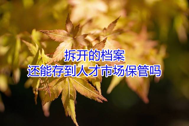 拆开的档案还能存到人才市场保管吗