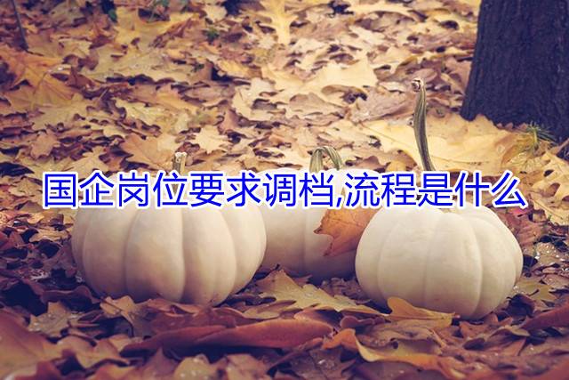 国企岗位要求调档,流程是什么