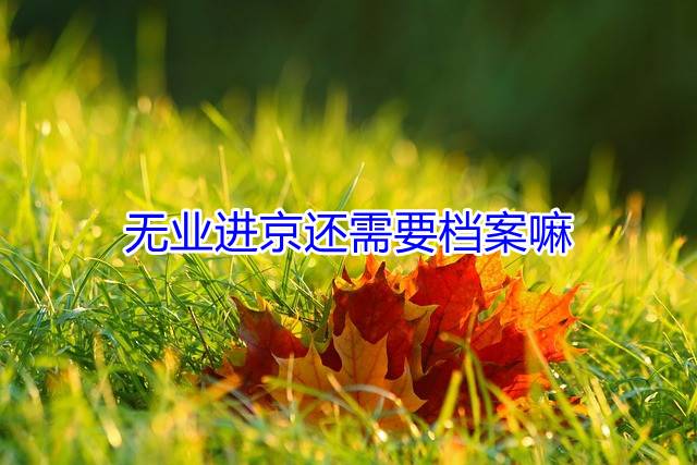 无业进京还需要档案嘛