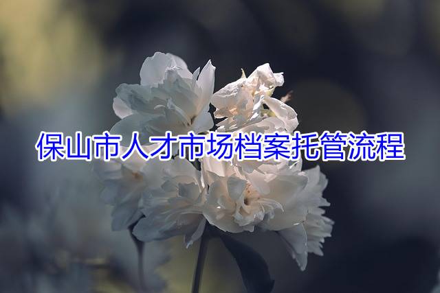 保山市人才市场档案托管流程