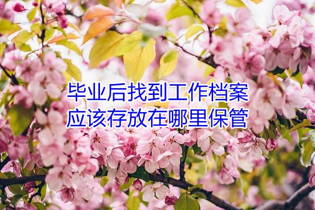 毕业后找到工作档案应该存放在哪里保管